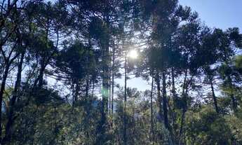 Imagem 5: Terreno de 16.9 hectare em Urubici