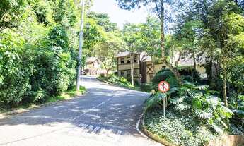 Imagem 4: Lote no Vila Alpina, área de 2.050,00m2, em leve declive,100% utilizável, perto do clube