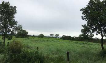 Imagem 2: Vende-se uma excelente fazenda de 610 Alqueires