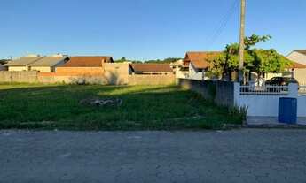 Imagem 3: Barbada! Terreno no centro penha - 360m² cada!