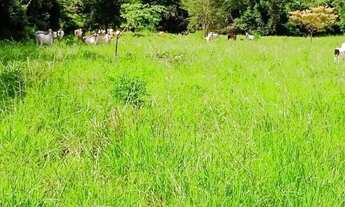 Imagem 7: Vende-se uma fazenda de 143 hectares