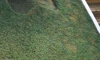 Imagem 3: Ampla casa 2 quartos e moveis planejados, Areias de cima - Biguaçu