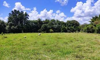 Imagem 7: Área Terreno Chácara Fazendinha Sítio 2 Hectares, 20.000m2, Florestal MG