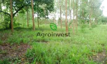 Imagem 7: Fazenda em Ipameri - GO