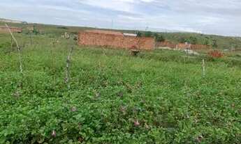 Imagem 2: Terreno Barrama na taiba