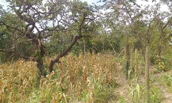 Imagem 2: Terreno Chácara com venda por R$120.000