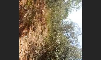 Imagem 5: Terreno para Venda em Esmeraldas, Jardim dos Bandeirantes (Melo Viana