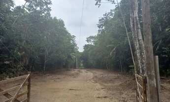 Imagem 3: Vendo lotes pra chácara