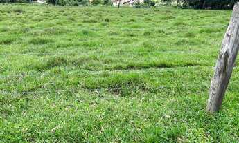 Imagem 5: Lf-Vende- se terreno a 50 min de São Paulo