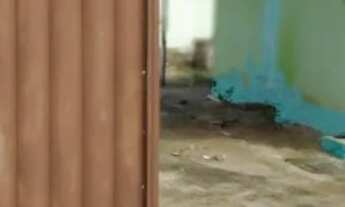 Imagem 5: Venco Casa com 2 dormitórios