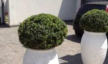 Imagem 3: Sobrado Residencial à venda, Vila Suíça, Indaiatuba - SO0075