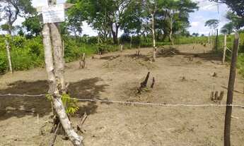 Imagem 4: Tereno 10x 30 Anuncio Real