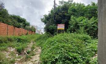 Imagem 2: Terreno no Miritiua