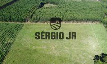 Imagem 4: Sítio com 2,2h, galpão e açude em Triunfo