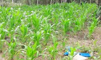 Imagem 7: Terreno Chácara com venda por R$120.000