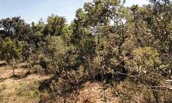 Imagem 2: Terreno para Venda em Esmeraldas, Jardim dos Bandeirantes (Melo Viana