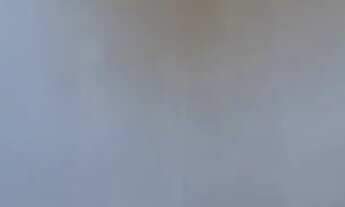 Imagem 7: Alugo casa de dois quartos em Rua do Governo Realengo