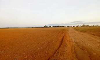 Imagem: Fazenda à venda, 3 quartos, Gurupi - Gurupi/TO
