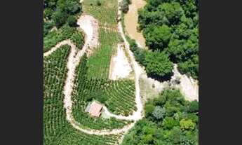 Imagem 6: Chácara perobas ,água .luz,perto patrimônio ,condomínio rural não paga