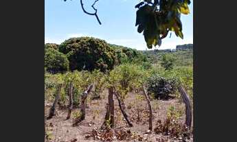 Imagem 7: Fazenda de 30 Alqueires- Colinas do Sul/Goiás
