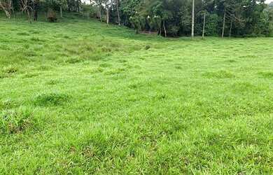 Imagem 7: LP - Vendo terreno direto com o proprietário