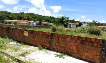 Imagem 2: Terreno em Pitimbu PB