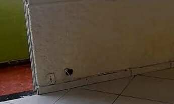 Imagem 3: Abolição - Apartamento Sala, 1 quarto cozinha, banheiro e Área