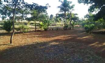 Imagem 2: Jesus te ama - Vendo Chácara com 6,5 hectares em Planaltina-DF