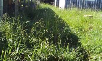 Imagem 3: Casas paara venda