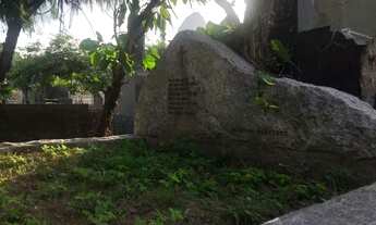 Imagem 2: Jazigo perpétuo duplo com 8,25 m2. Ótima localização, perto de Tom Jobim e Santos Dumont!