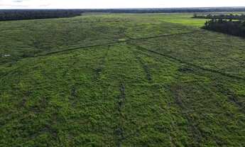 Imagem 7: Você quer comprar uma Fazenda 1.887 HECTARES EM TOMÉ AÇU