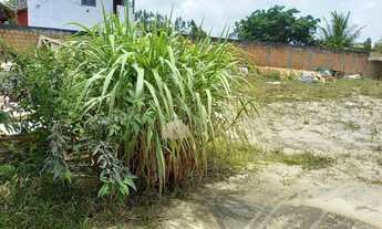 Imagem 4: Super Terreno comercial