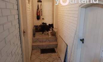 Imagem 2: PORTO ALEGRE - Casa Padrão - Ipanema