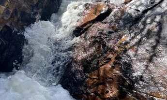 Imagem 3: Vendo Chácara de 10.000m² Rio