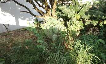 Imagem 7: Terreno à venda em Valinhos/SP