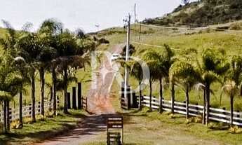 Imagem: Terreno à venda com 2,1701 hectares - Belmiro