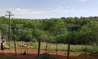 Imagem 2: Galpão industrial