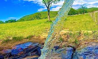 Imagem 2: Fazenda de 117 alqueires em Santa Cruz de Goiás