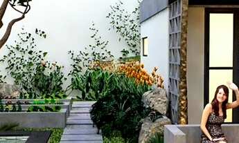 Imagem 4: Terreno c/ projeto