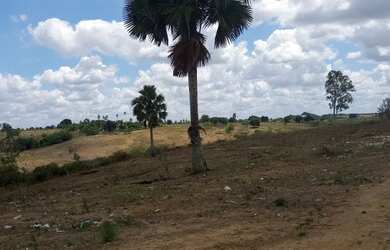 Imagem 2: 21 hectares p/ Loteamento ou Condomínio
