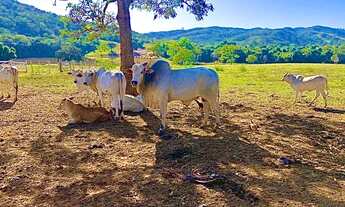 Imagem 7: Fazenda de 117 alqueires em Santa Cruz de Goiás