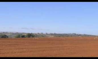 Imagem 7: Excelente fazenda com 4 pivôs