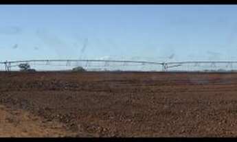 Imagem 6: Excelente fazenda com 4 pivôs