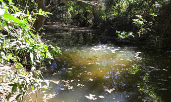 Imagem 7: CHÁCARA PRÓXIMA BARRAGEM COPASA