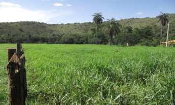 Imagem 2: Lindo baixadão de 4.5 ha, as margens do rio. Jaboticatubas (Temos varias opções)