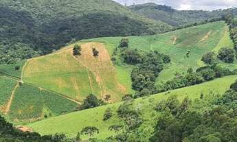 Imagem 2: TERRENO COM 8 ALQUEIRES DE TERRA COM NASCENTE OTIMA LOCALIZAÇÃO