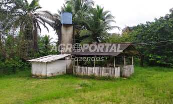 Imagem 4: Fazenda no Pará - São Francisco do Pará