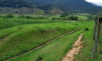 Imagem 4: Silva Jardim - Fazenda com 305 alqueires geométrico. 200-F