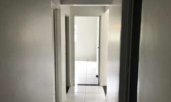 Imagem 6: Palmares Trindade Sozinha no lote Urgente