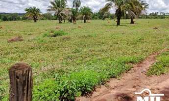 Imagem 7: Fazenda 32 Alqueire (154 Há) Jaraguá - GO